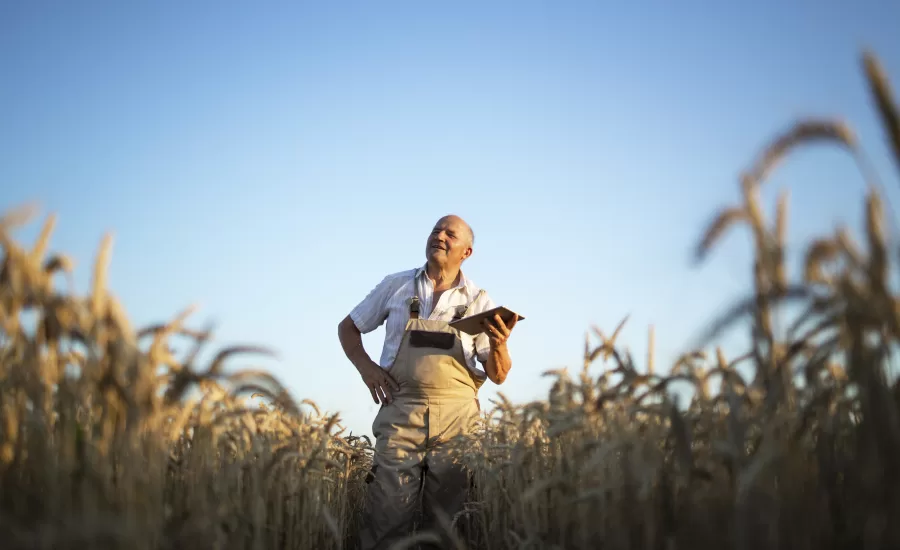 Rural and regional connectivity solutions